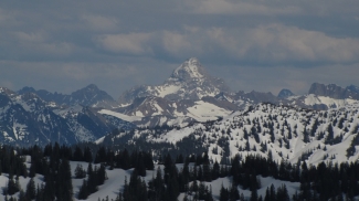 hochvogel