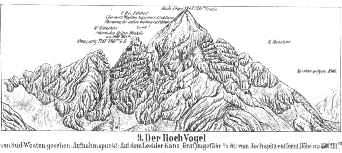 hochvogel