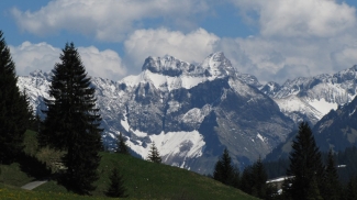 schneck, hochvogel