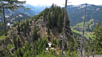 westlicher kackenkopf