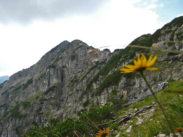 kieneckspitze