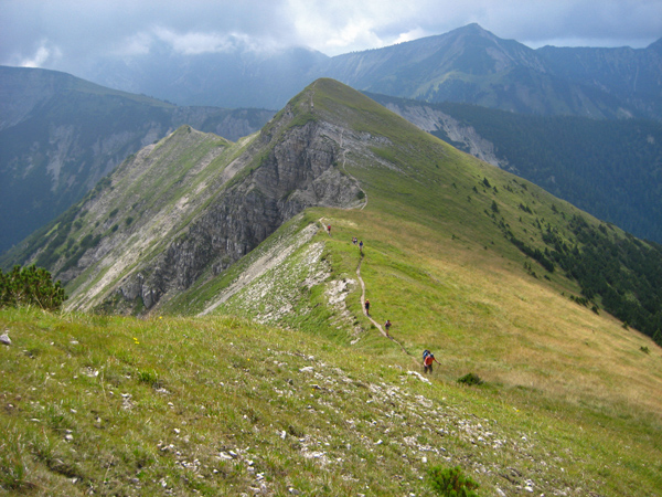 geißsprungkopf