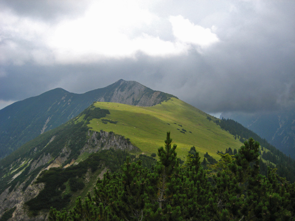 felderkopf