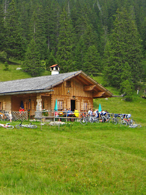 enningalm