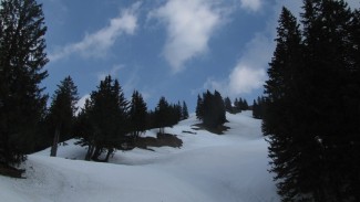 piesenkopf