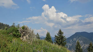 saueregg hüttenplatz