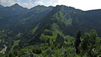 gerenkopf