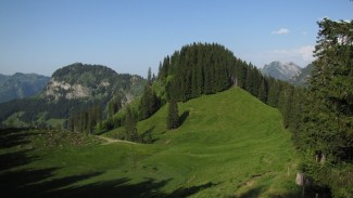 hühnermoos