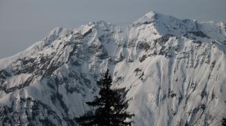 braunarlspitze