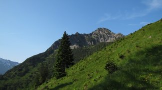 ringersgundalpe