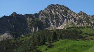 wildgundkopf