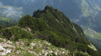 wildgundkopf