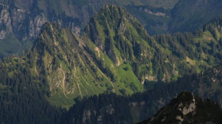 grüne köpfe