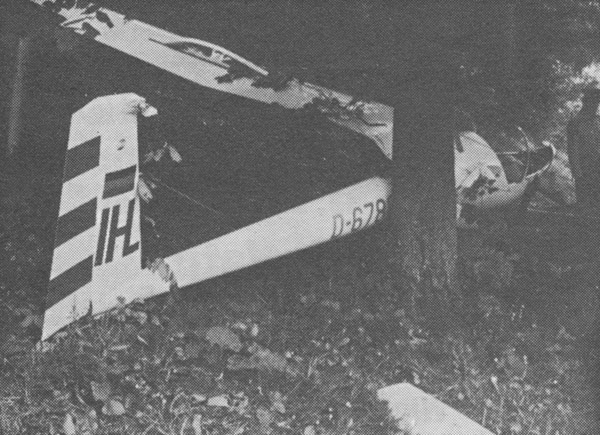 das abgestürzte Segelflugzeug in einem Waldstück in Höfen