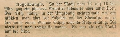 kühe getötet durch blitzschlag - nesselwängler ödenalpe, edenalpe