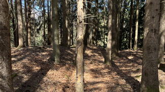 wallgraben